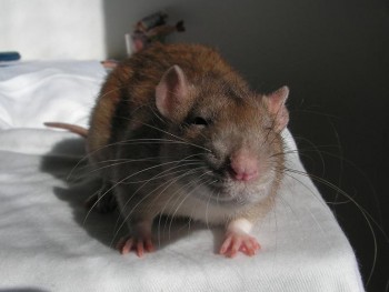 Absolutaly satisfied look :)